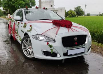 Wedding Car Rental